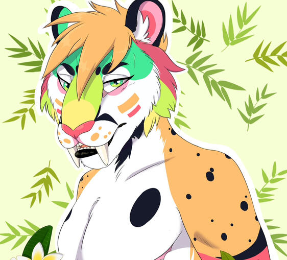 Head Shots/Badges : $35 was $45